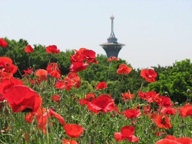 解説 歌集 桐の花 が作られた背景 北原白秋 写真で味わう北原白秋 短歌５０選